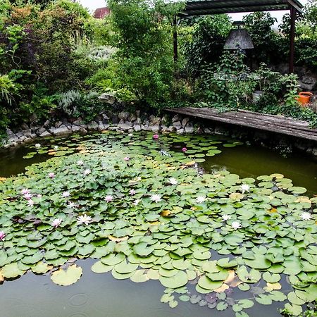 Bed and Breakfast Pigal Panzio Badacsonyörs Zewnętrze zdjęcie